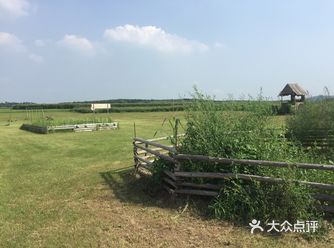 让秋风抚摸着脸颊，使身心愉悦无比  交通transp