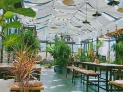 -北马山庄植趣咖啡