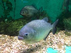 -常州海昌海洋探索馆