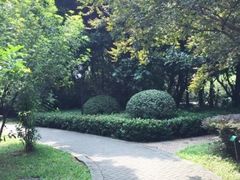 -黄埔荔枝公园