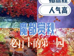 -秋霞圃