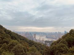 -先机泉水鸡汤(南山老君洞店)