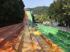 -重庆海昌加勒比海水世界