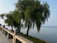 -阳澄湖半岛旅游度假区