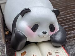 -轩客会(熊猫书店)