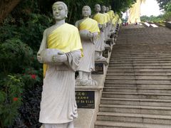 -西双版纳勐泐文化旅游区