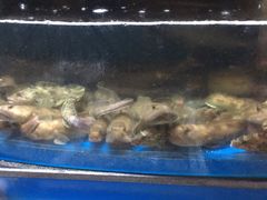 -映像威海·海鲜味道(市区店)