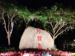 -野狸岛