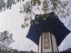 -上海佘山国家森林公园天马山园