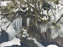 -龙苍沟森林公园