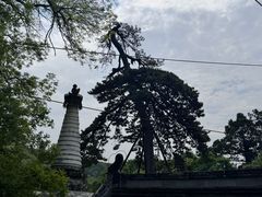 -潭柘寺景区