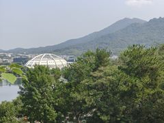 -九华山公园