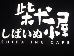 -柴犬小屋·柴餐厅·狗咖食堂(金鼎广场店)