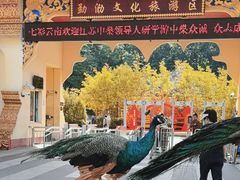 -西双版纳勐泐文化旅游区