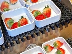 -北京海德酒店温泉