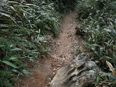 -九曜山