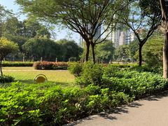 -晓港公园