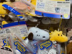 -九木杂物社(恒隆广场店)