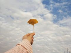 -汉景帝阳陵博物院