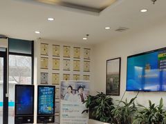 -美联众合动物医院·24h转诊中心