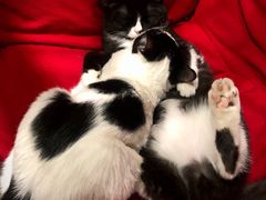 -么么咖啡(燕郊店)