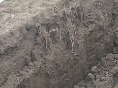 -解家河南菜(商鼎路店)