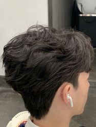 -蚂蚁造型沙龙