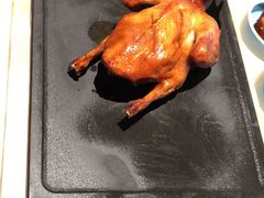 红烧乳鸽-大鸽饭(体育西路店)