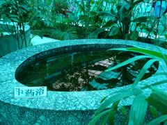 -龙脉温泉室内游泳馆