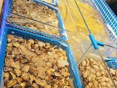-锅儿欢海鲜火锅烤肉自助餐(东港凯虹店)