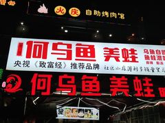 -重庆何乌鱼(南湖逸家店)