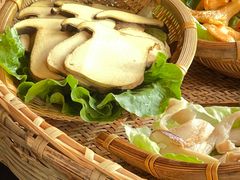 -滇野云南野生菌餐厅(陕西南路店)