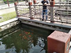 -西安汉城湖景区