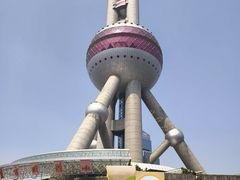 -上海大自然野生昆虫馆(东方明珠·爬宠昆虫探索中心)