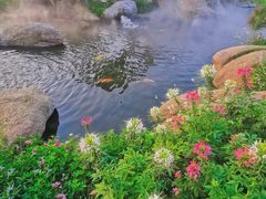 -罗红摄影艺术馆