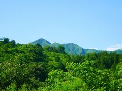 -白水寺森林公园