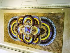 -上海昆虫博物馆