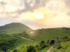 -大姆山草场