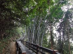 -水濂山森林公园