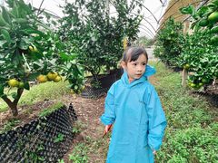 -前小桔亲子创意农场·草莓采摘·露营烧烤