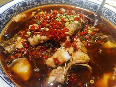 -国力仁和(凤城三路店)