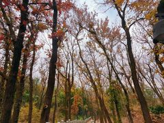 -虞山风景区