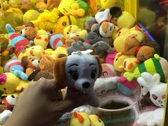 -江燕路万科里