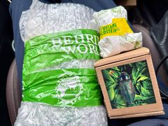 -陕西自然博物馆