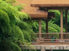 -杭州植物园