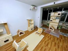 -青奢宠物·青奢猫舍