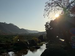 -中国茶叶博物馆(双峰馆区)
