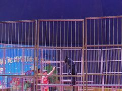 -银沙滩浴场