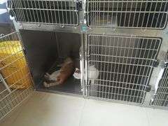 -美迦爱-牙专科·兔科·骨科诊疗中心(北苑店)