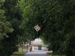 -国家植物园南园